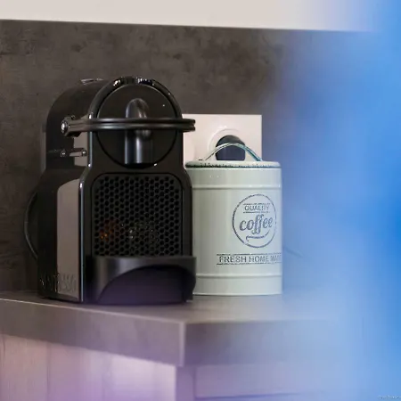 Le Xv * 바네르드비고르