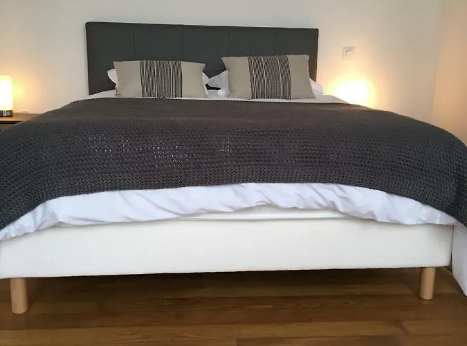 Résidence Le Xv Appartamento